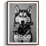 Bad Dog