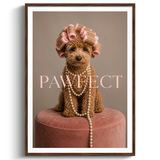 Pawfect