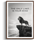 No Limits