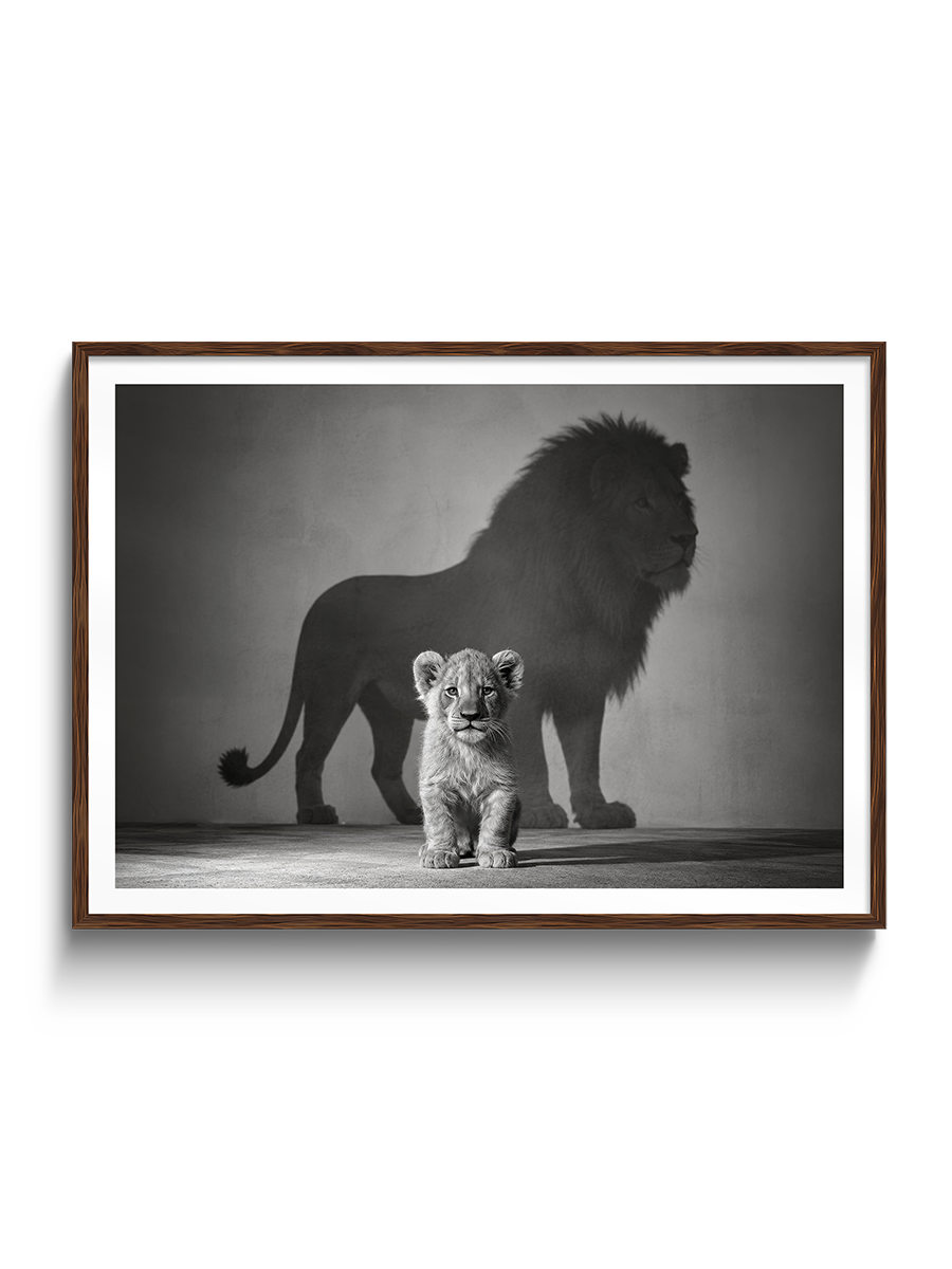 Future King