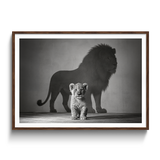 Future King