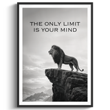 No Limits