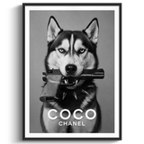 Bad Dog