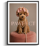 Pawfect