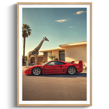 Safari Drive