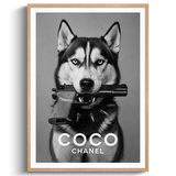 Bad Dog