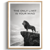 No Limits