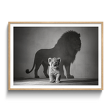 Future King