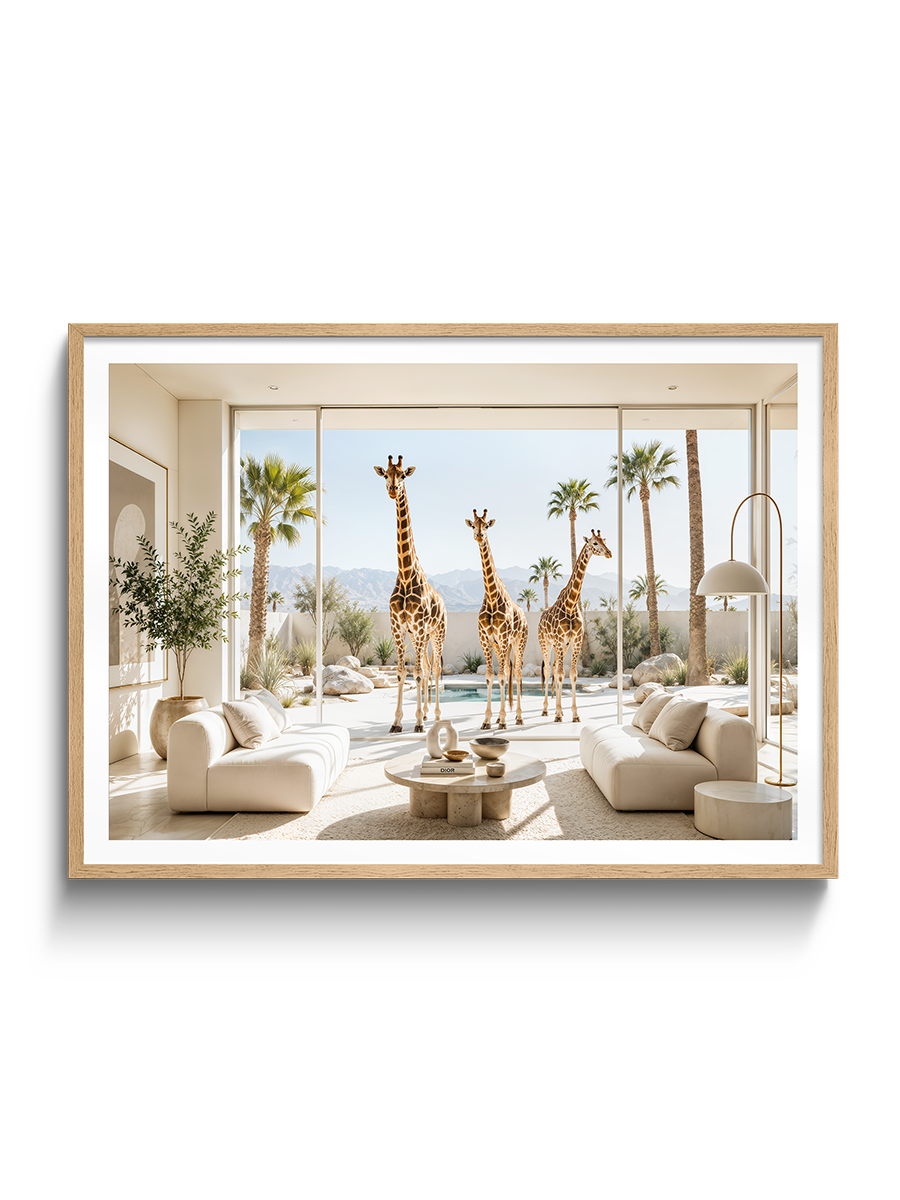 Safari View