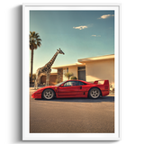 Safari Drive