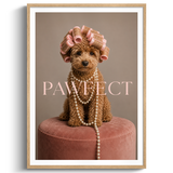 Pawfect