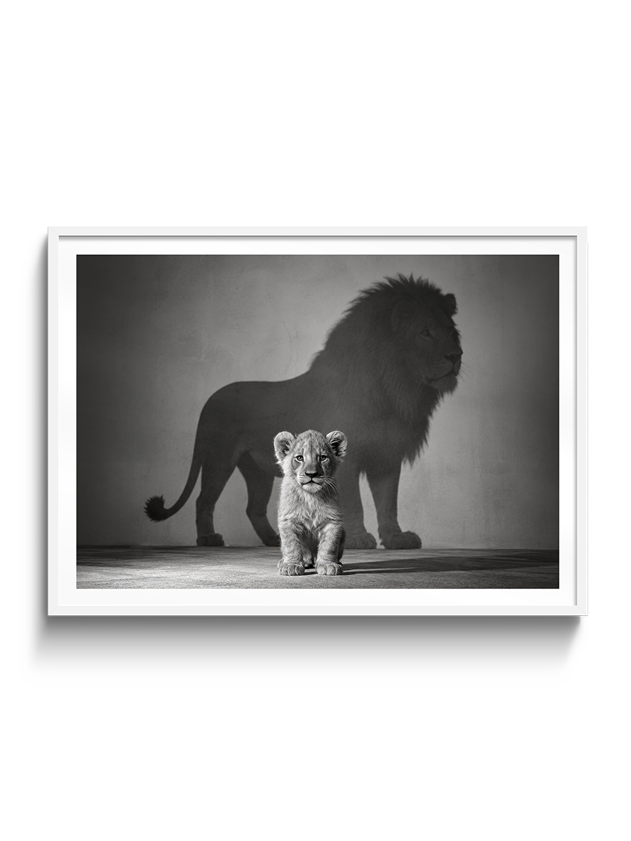 Future King