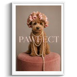 Pawfect