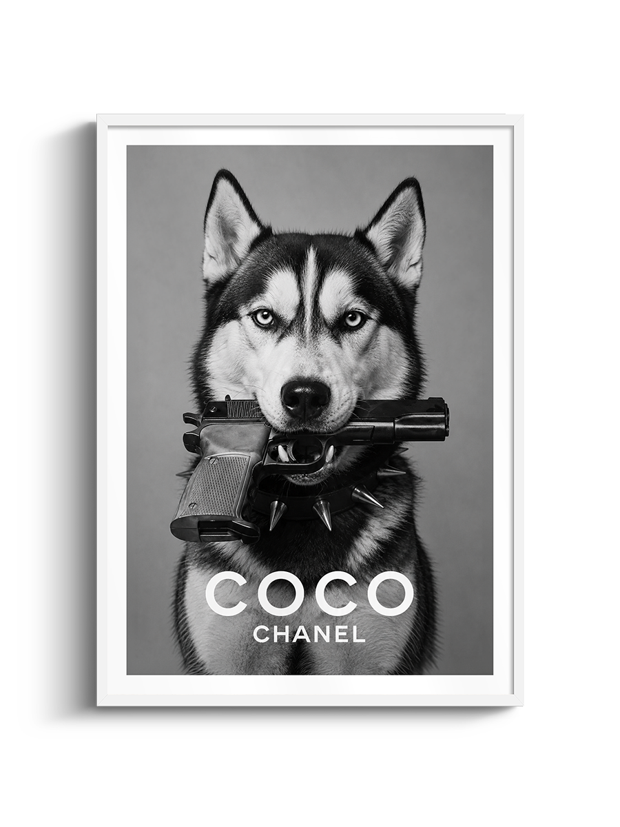 Bad Dog