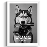 Bad Dog